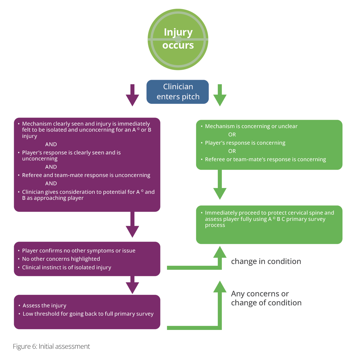 Initial assessment flow chart: purple focused primary survey pathway, green complete primary survey pathway
